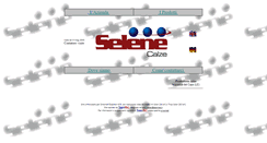 Desktop Screenshot of calzificioselene.it